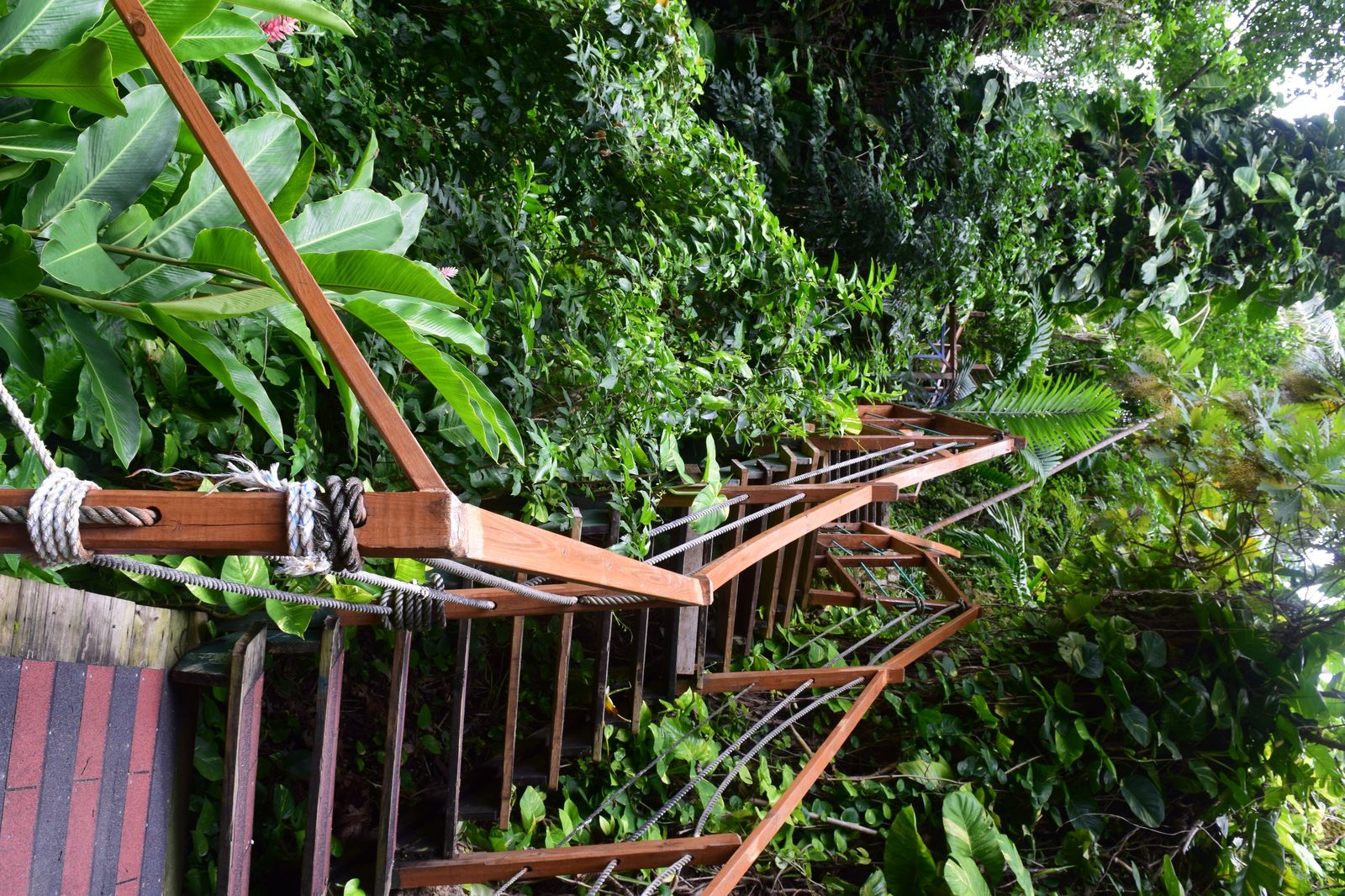 Konoko Falls & Gardens